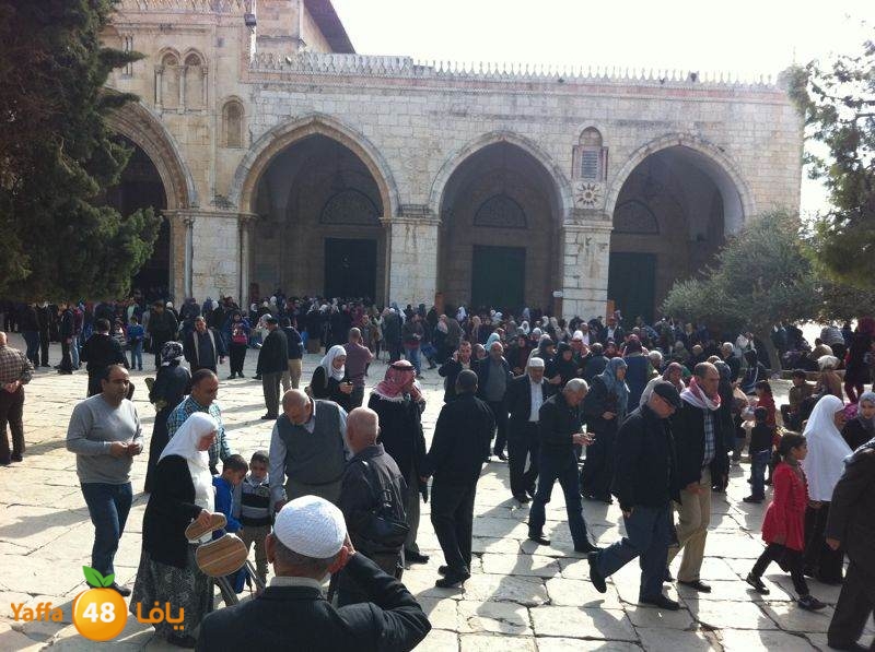 yaffa byareq 0114 (10).jpg